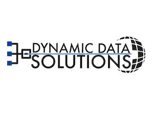 Dynamic Data Small logo